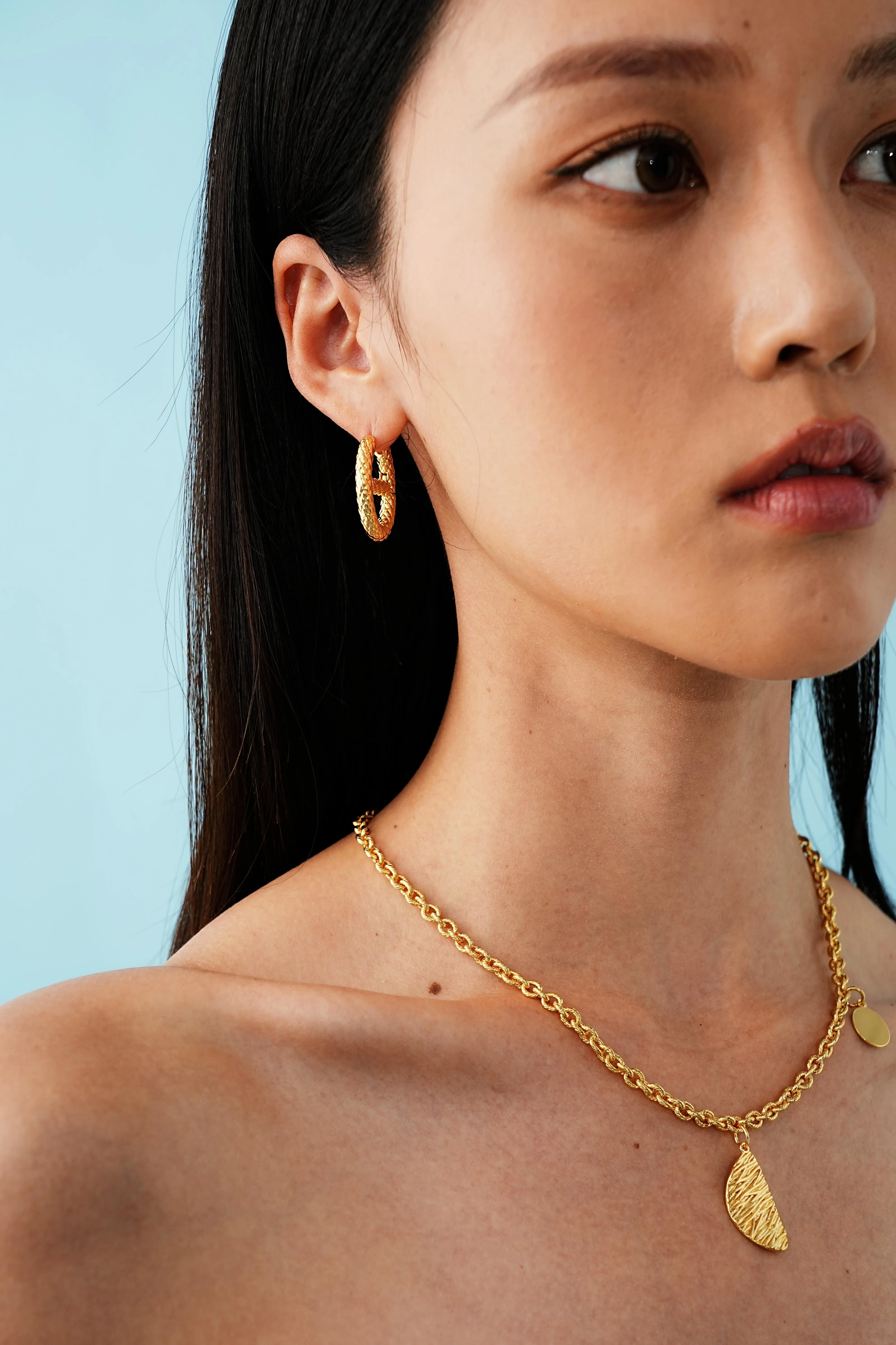 Alessia Chunky Hoop Earrings