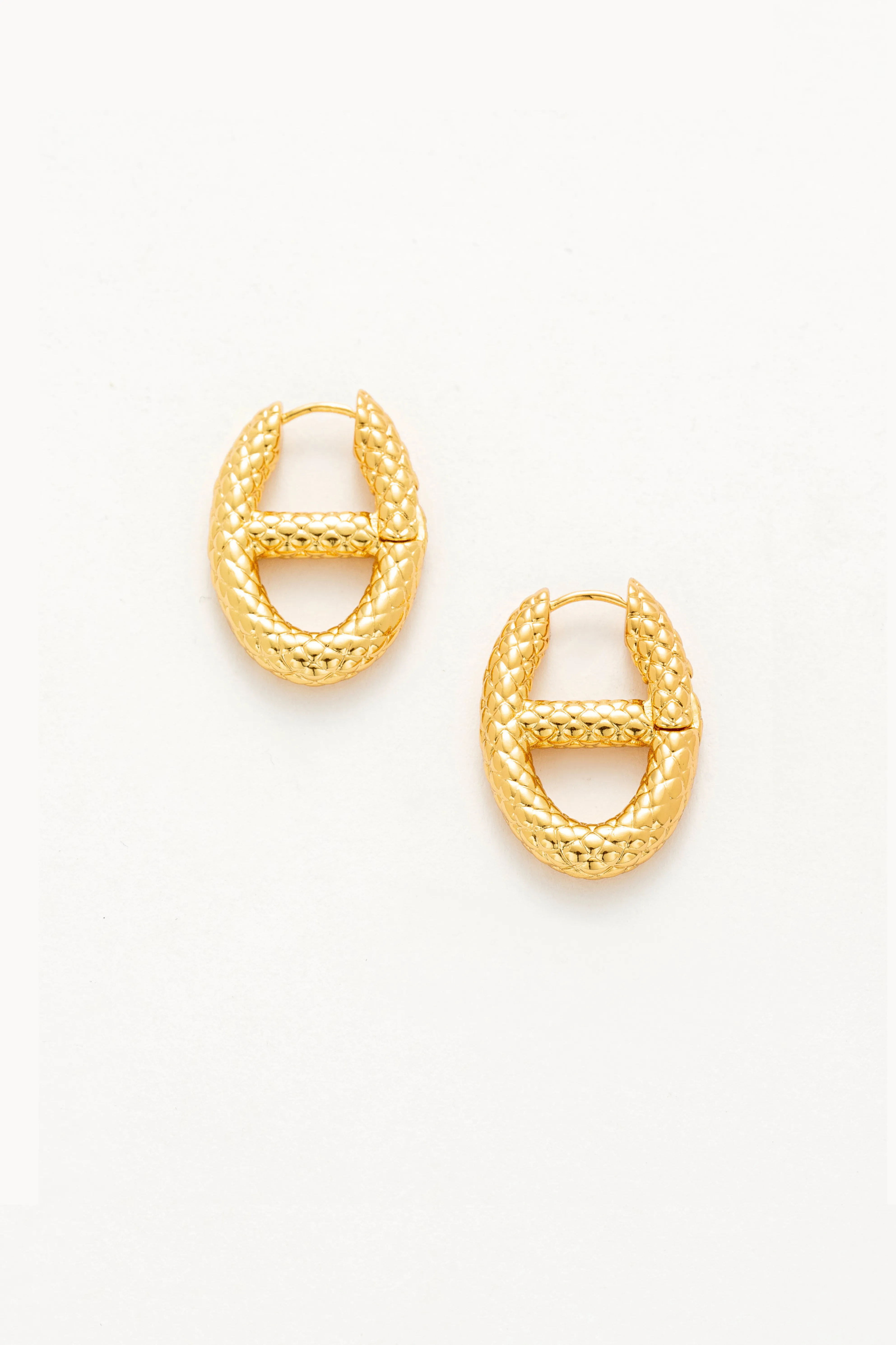 Alessia Chunky Hoop Earrings