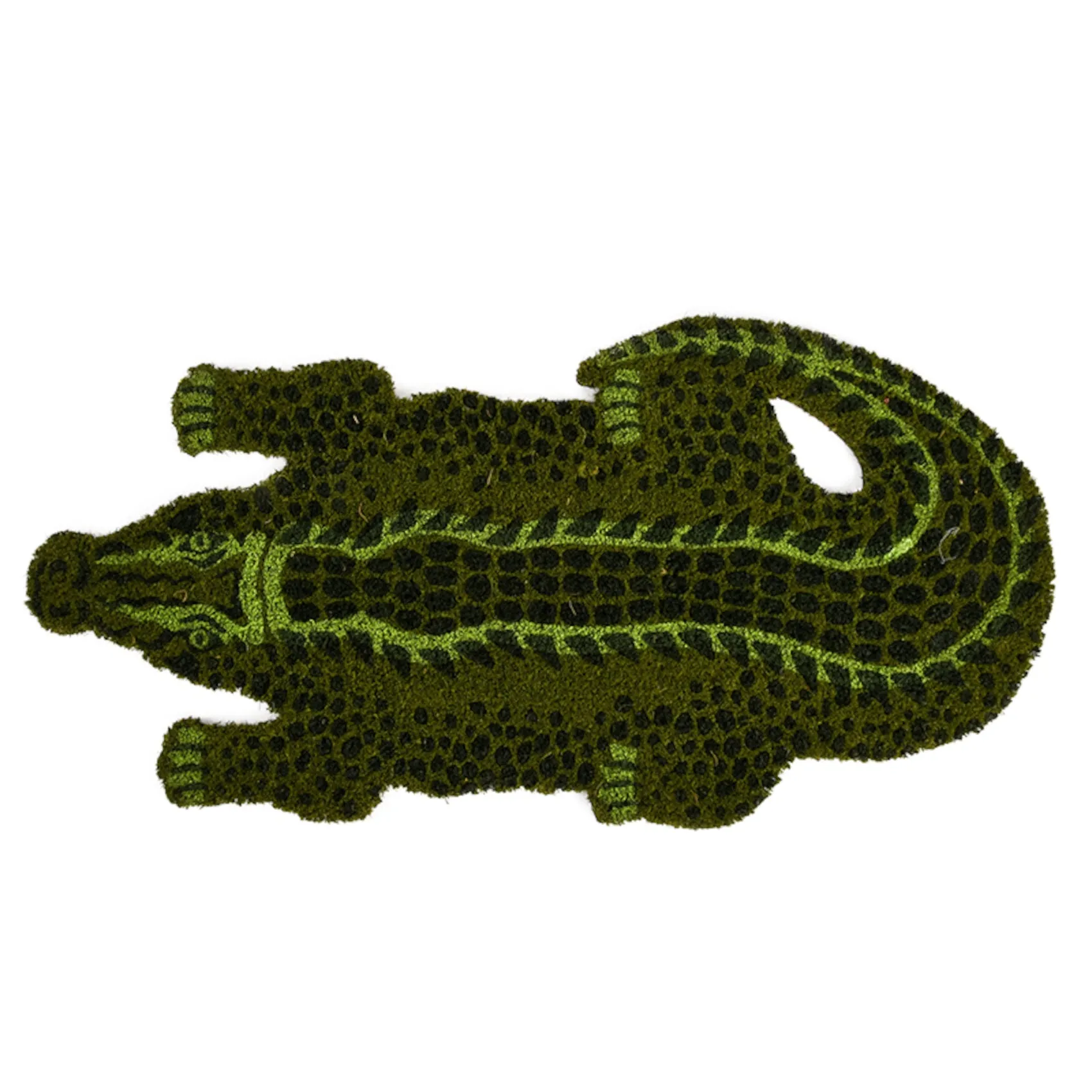 Crocodile Coir Welcome Mat with PVC Backing (77cm x 37cm)