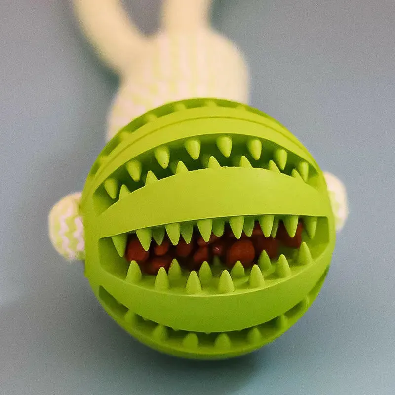 Interactive Dog Treat Ball