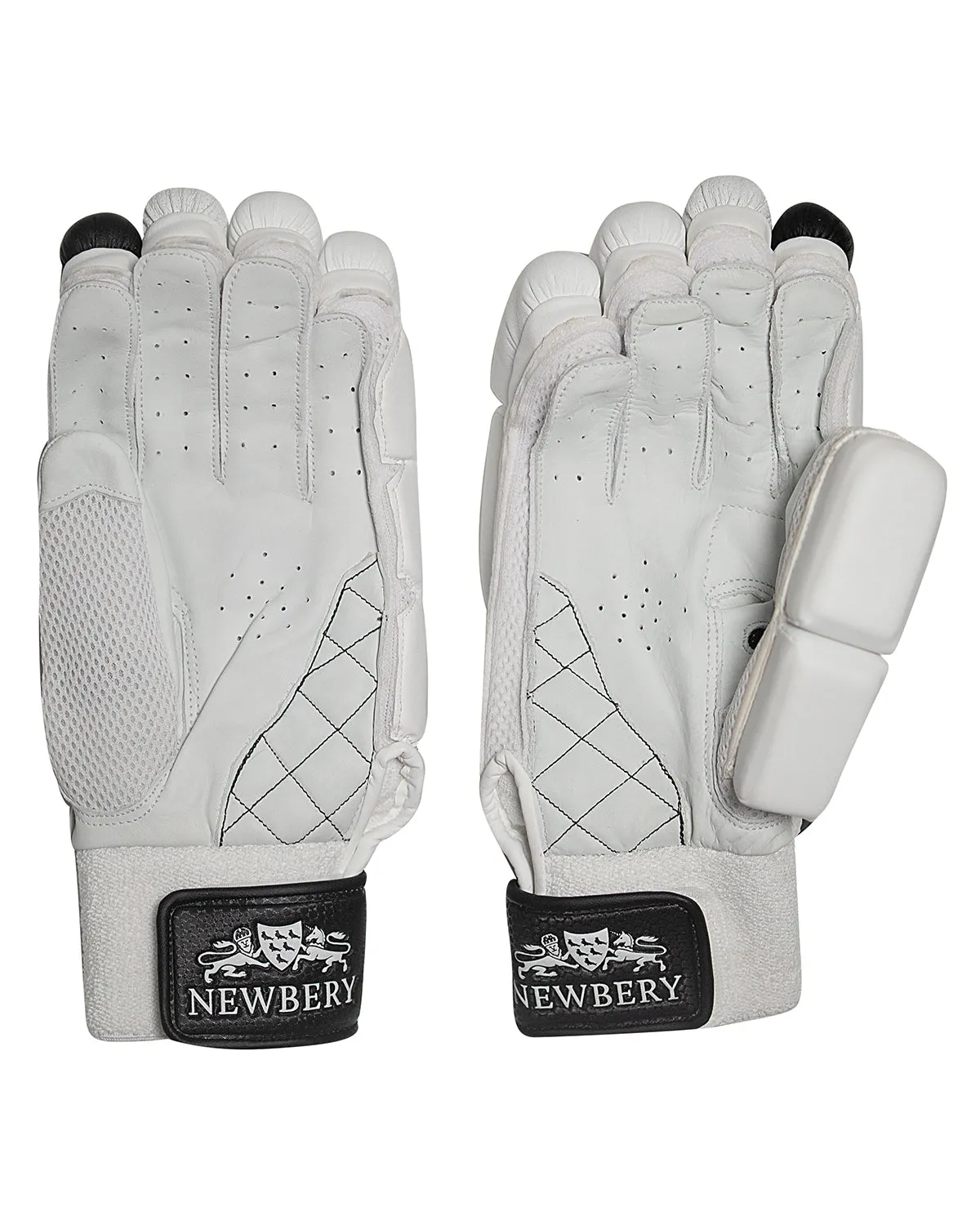 Newbery Renegade Player Grade 1 Cricket Bundle Kit