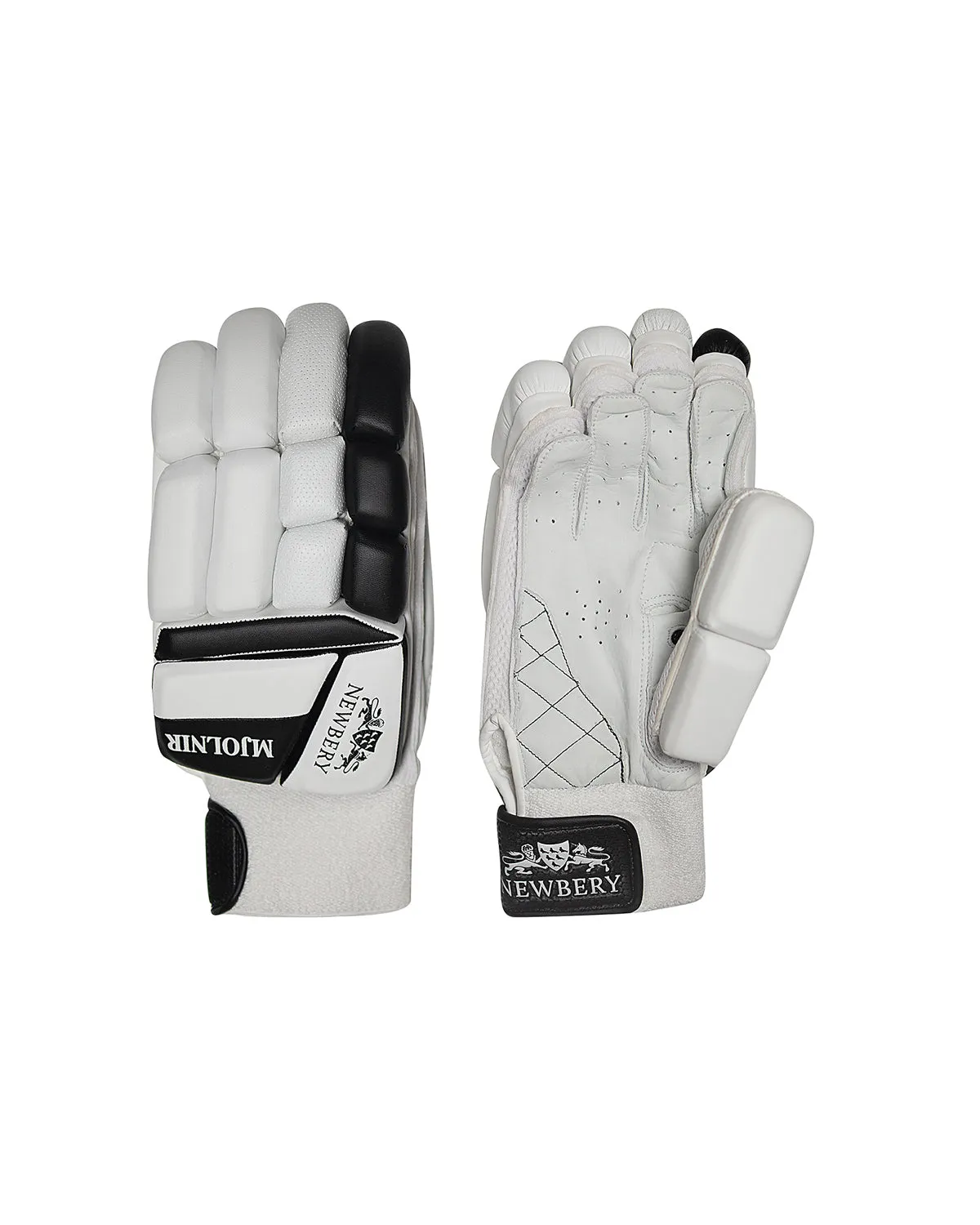 Newbery Renegade Player Grade 1 Cricket Bundle Kit