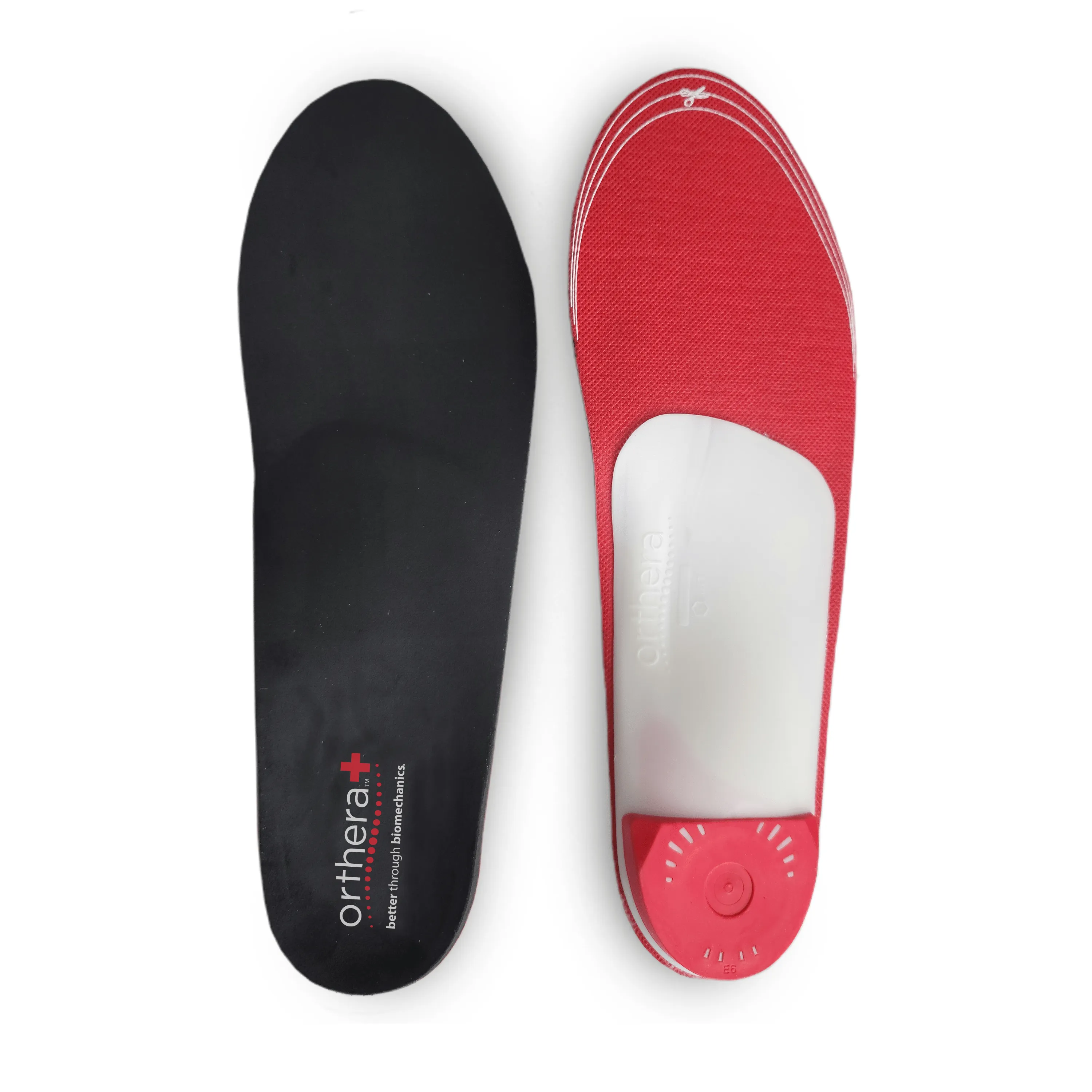 Orthera PRO Physio